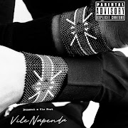 VILE NAPENDA cover art