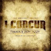 I Concur cover art