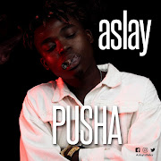 Pusha cover art