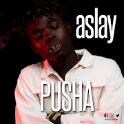 Pusha cover art