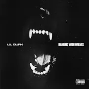 Hanging With Wolves cover art