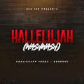 Hallelujah (Washwash)
