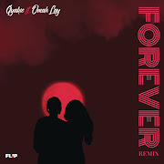 Forever (Remix) cover art