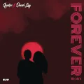 Forever (Remix)