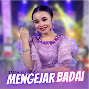 Mengejar Badai (Live) (feat. New Pallapa) cover art