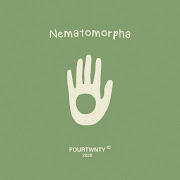 Nematomorpha cover art