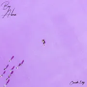 woman cover art