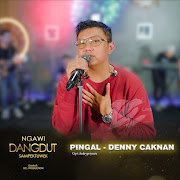 Pingal cover art