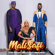 Mali Safi cover art