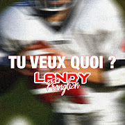 Tu veux quoi cover art