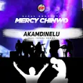 Akamdinelu