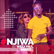 NJIWA cover art
