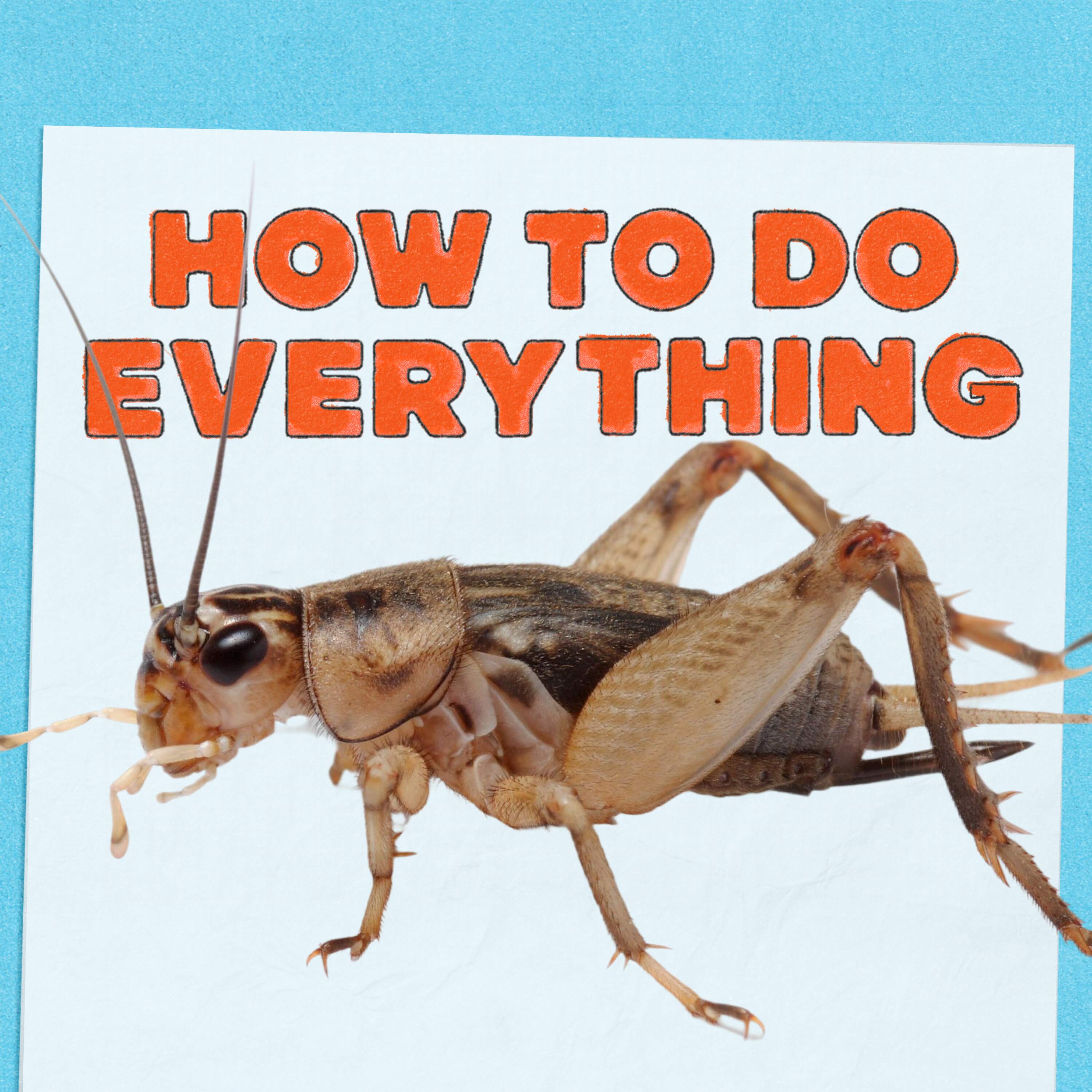 HTDE: Crickets and Clowns
