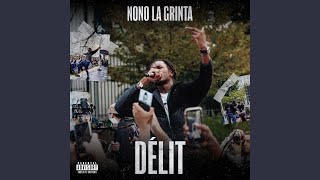 Délit cover art