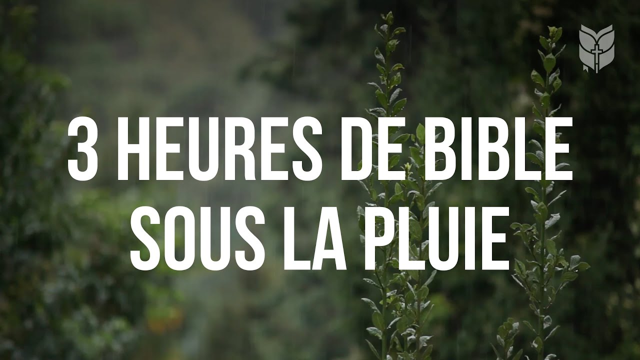 3 heures de Bible sous la pluie #bible #biblevision cover art