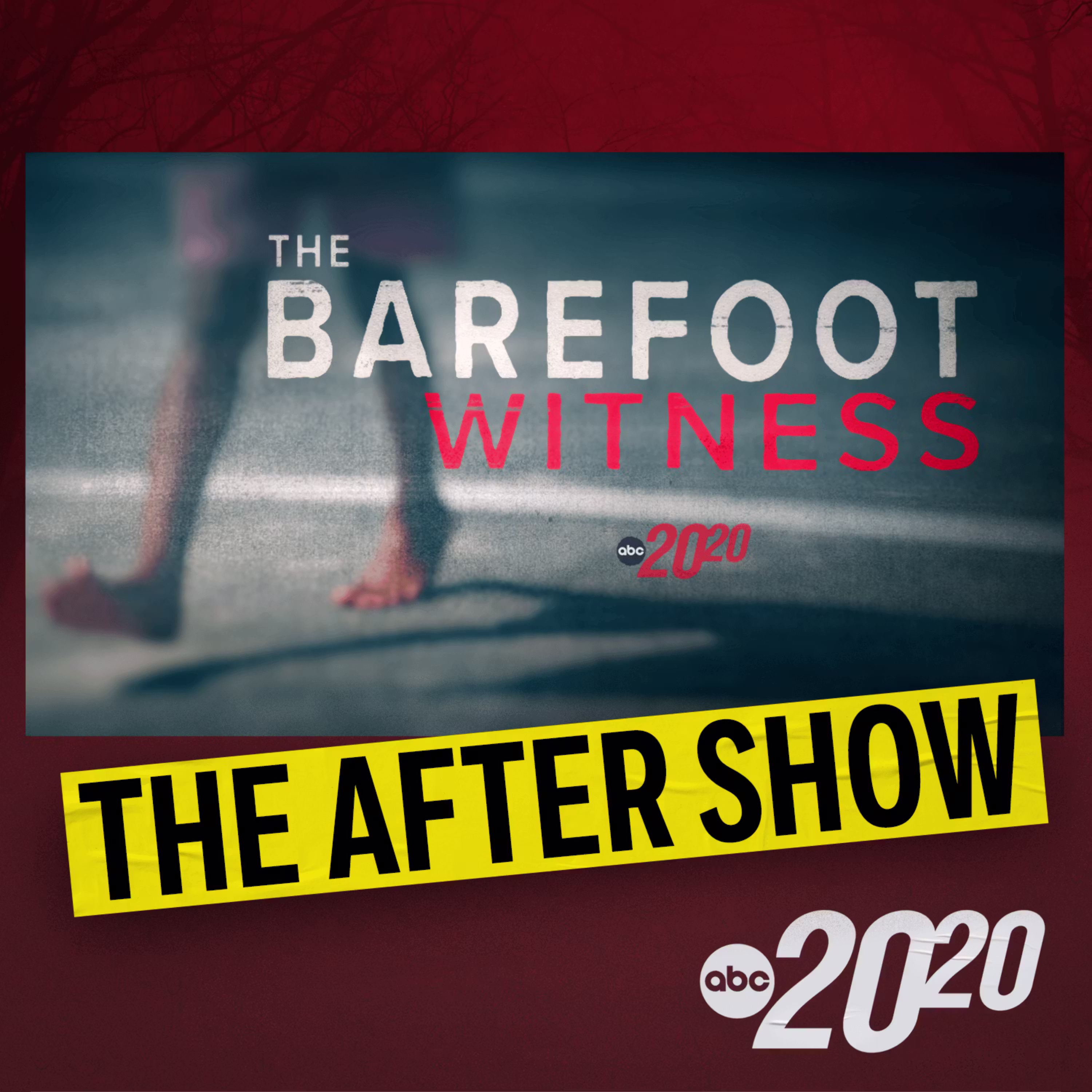 The After Show: The Barefoot Witness cover art
