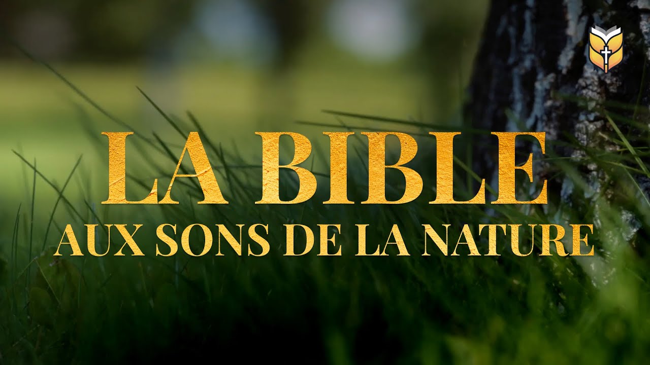 La Bible aux sons de la nature #biblevision cover art