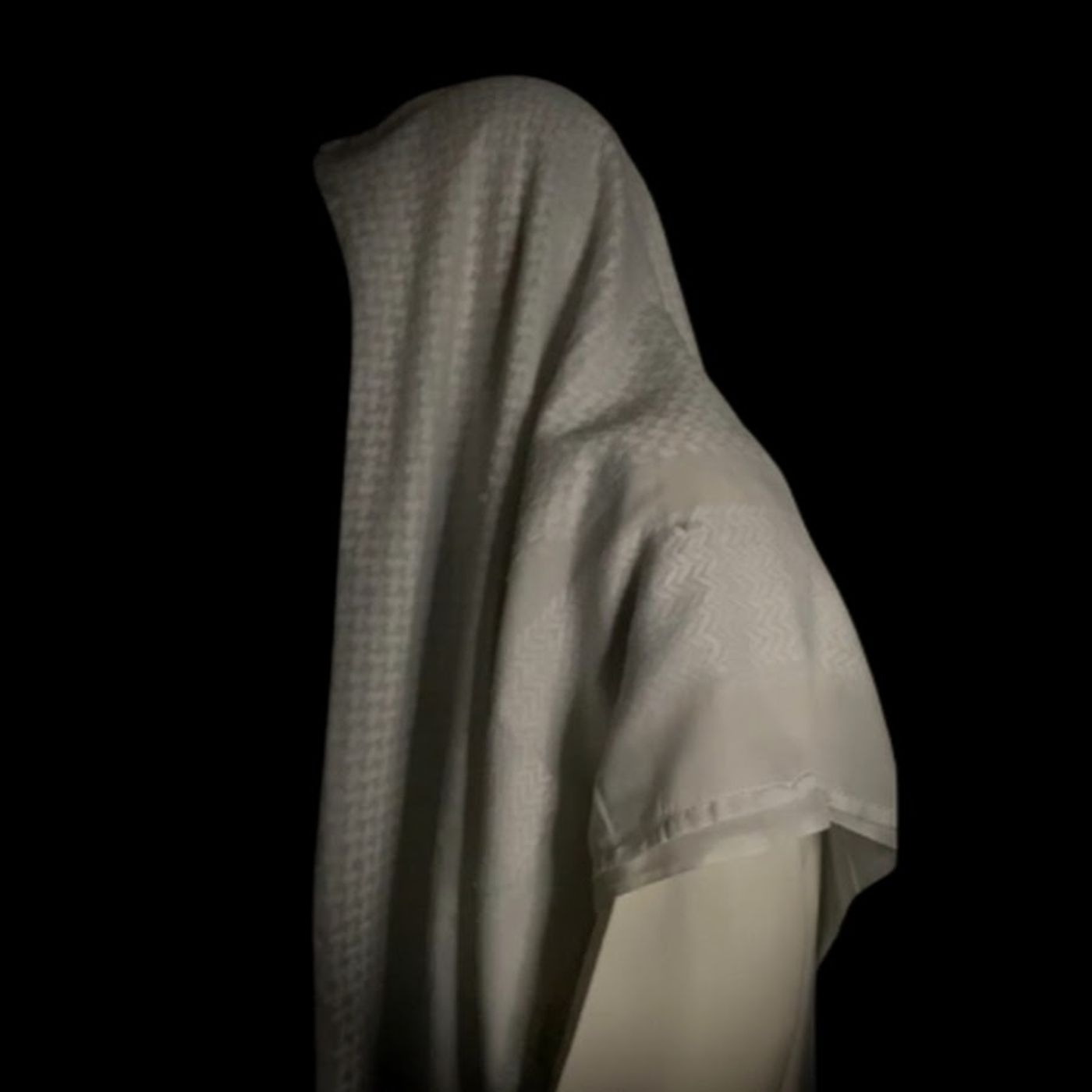 Calm Quran Recitation - Omar Bin Diaa Aldeen cover art