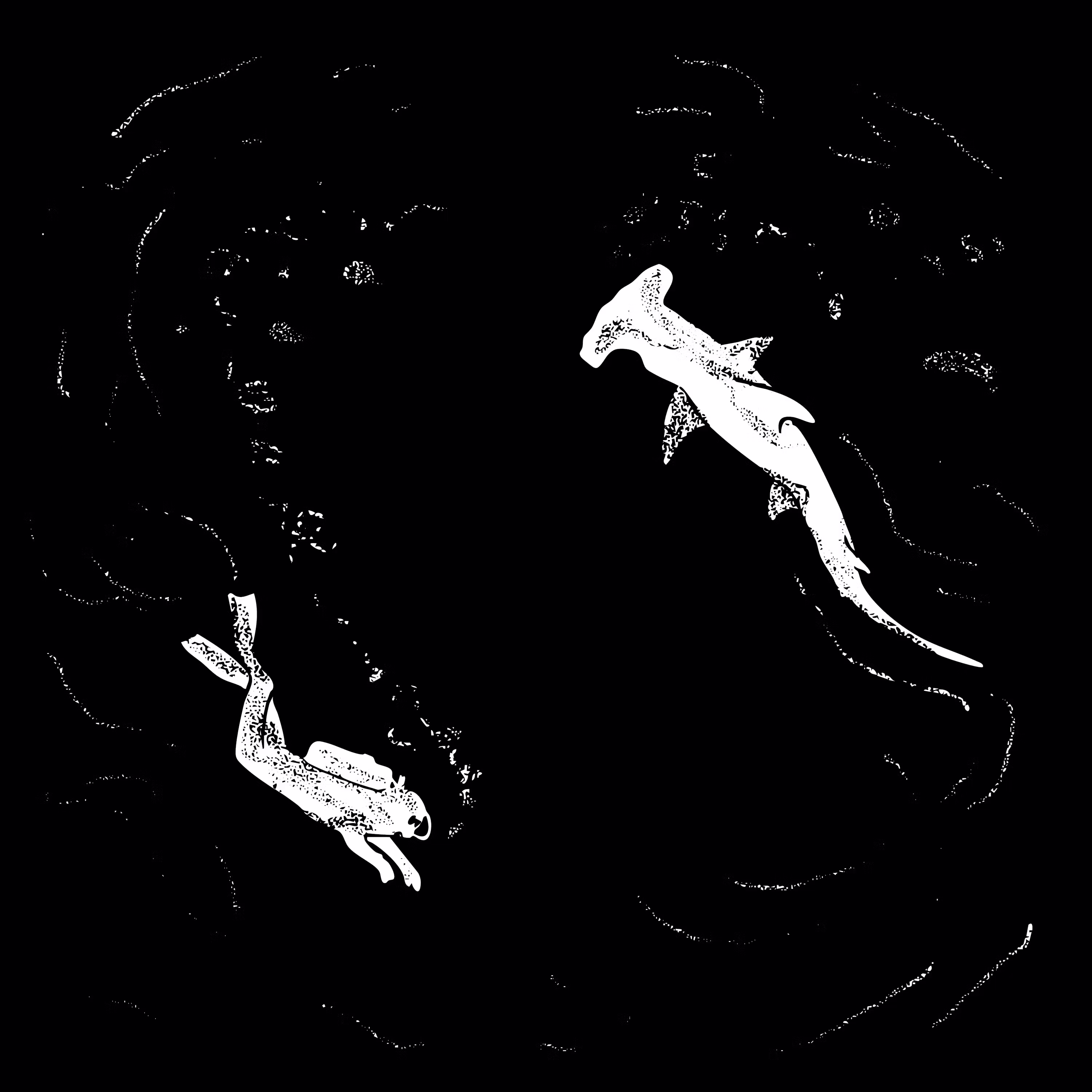 The Longline cover art