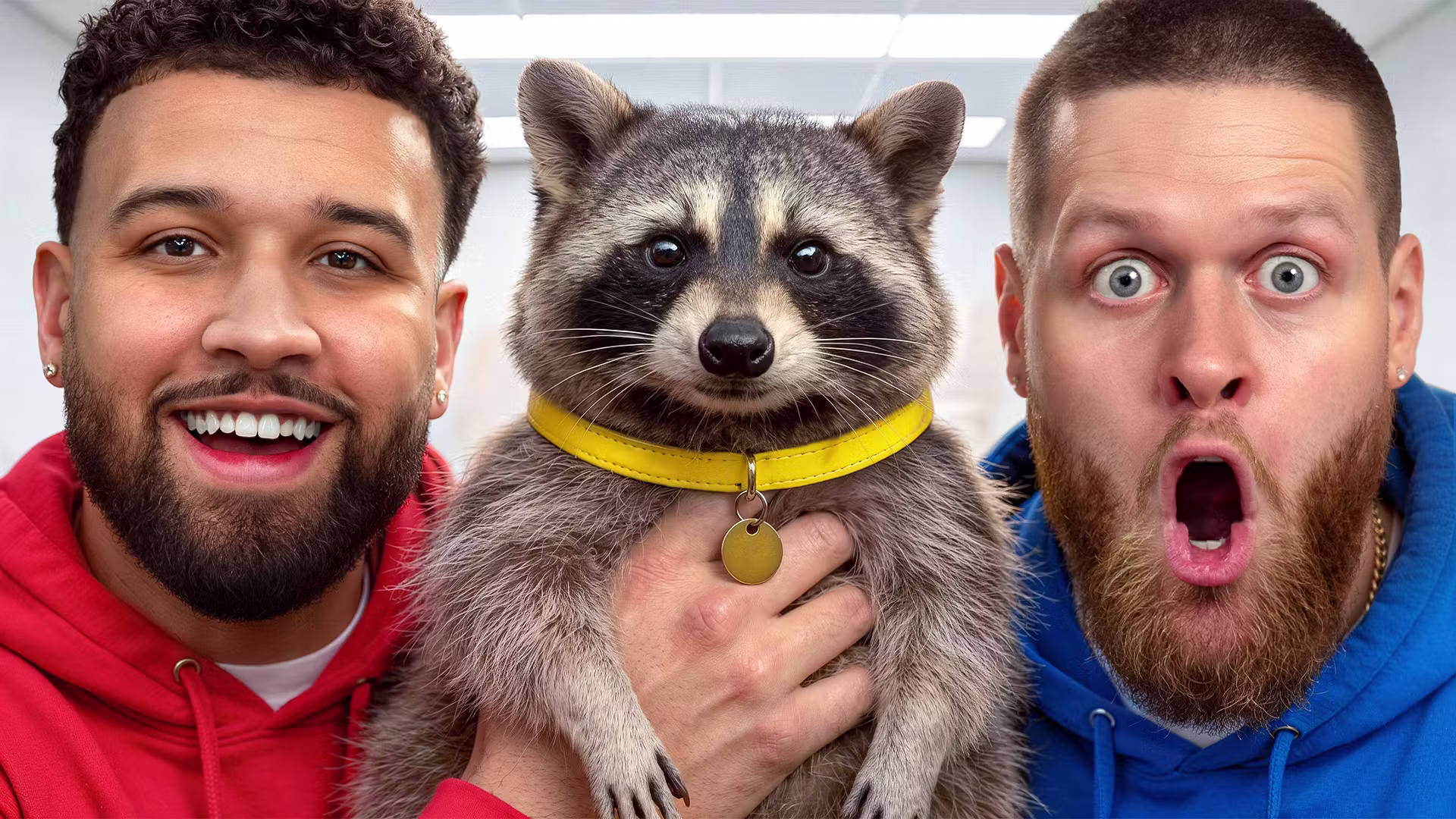 SURPRISING FRIEND WITH A RACCOON! -You Should Know Podcast- cover art