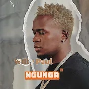 Ngunga cover art