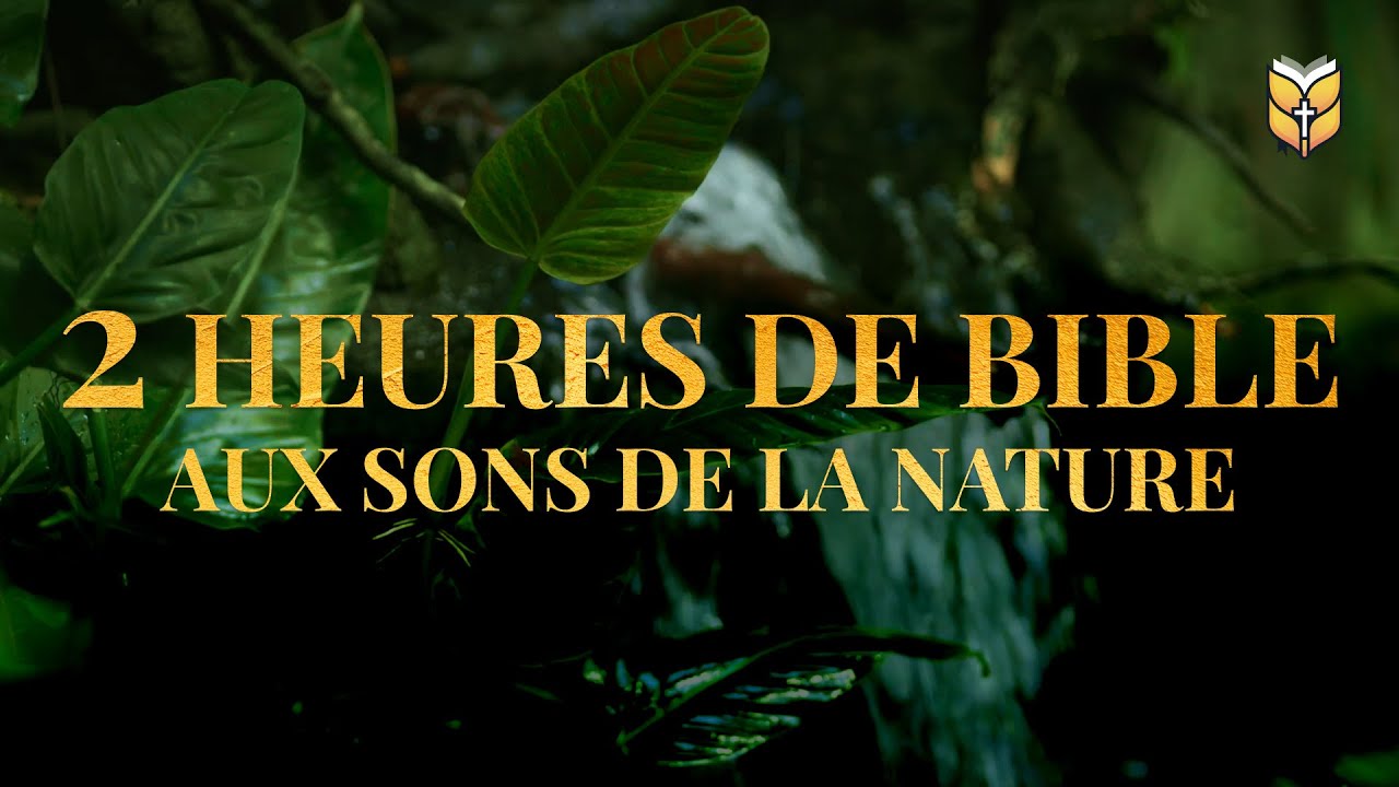 2 Heures de Bible aux sons de la nature #biblevision cover art