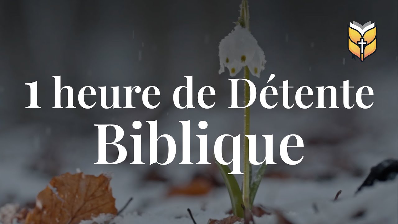 1 Heure de Détente Biblique. Plongez dans la Sérénité Spirituelle #bible #biblevision cover art