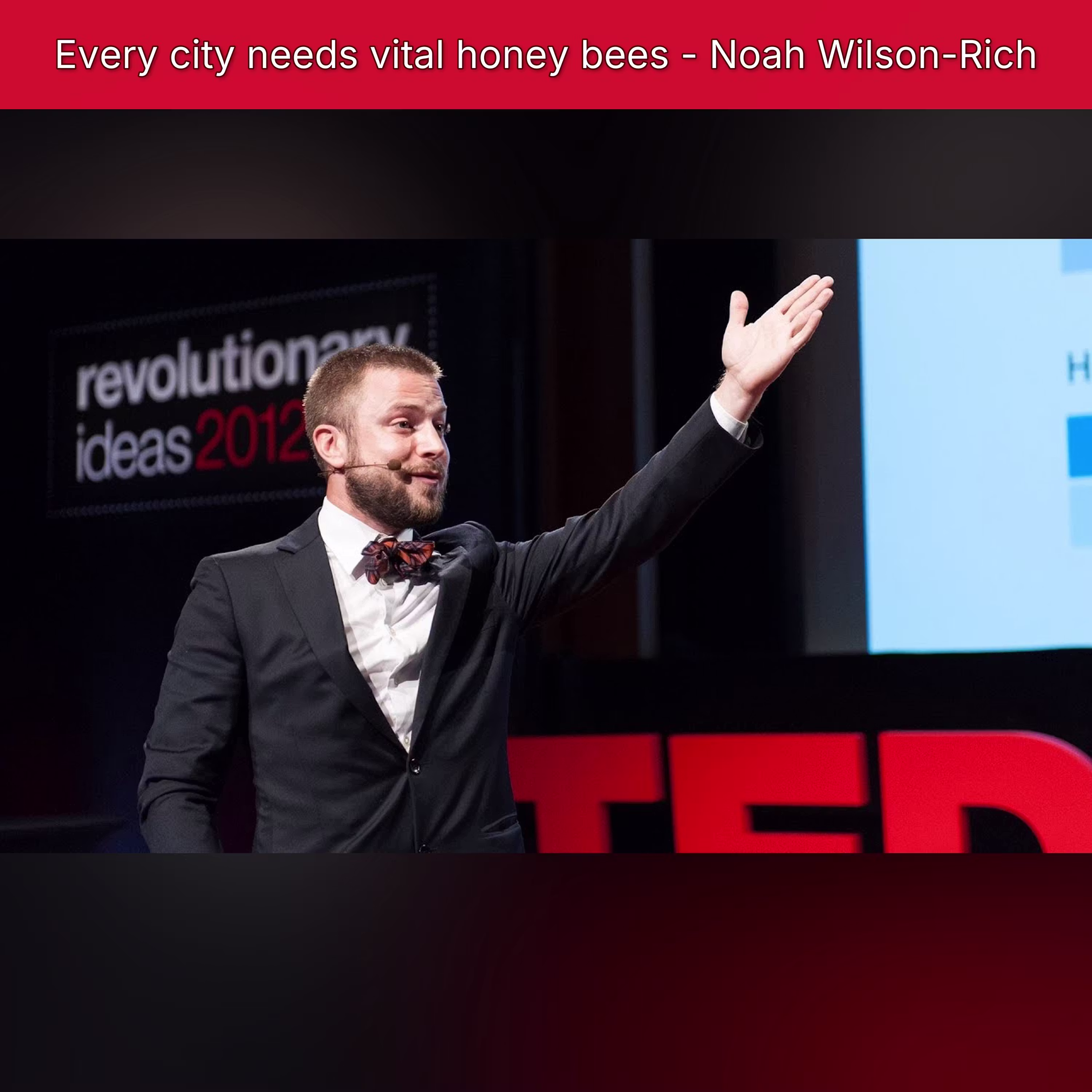 Every city needs vital honey bees - Noah Wilson-Rich cover art