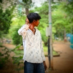 author avatar