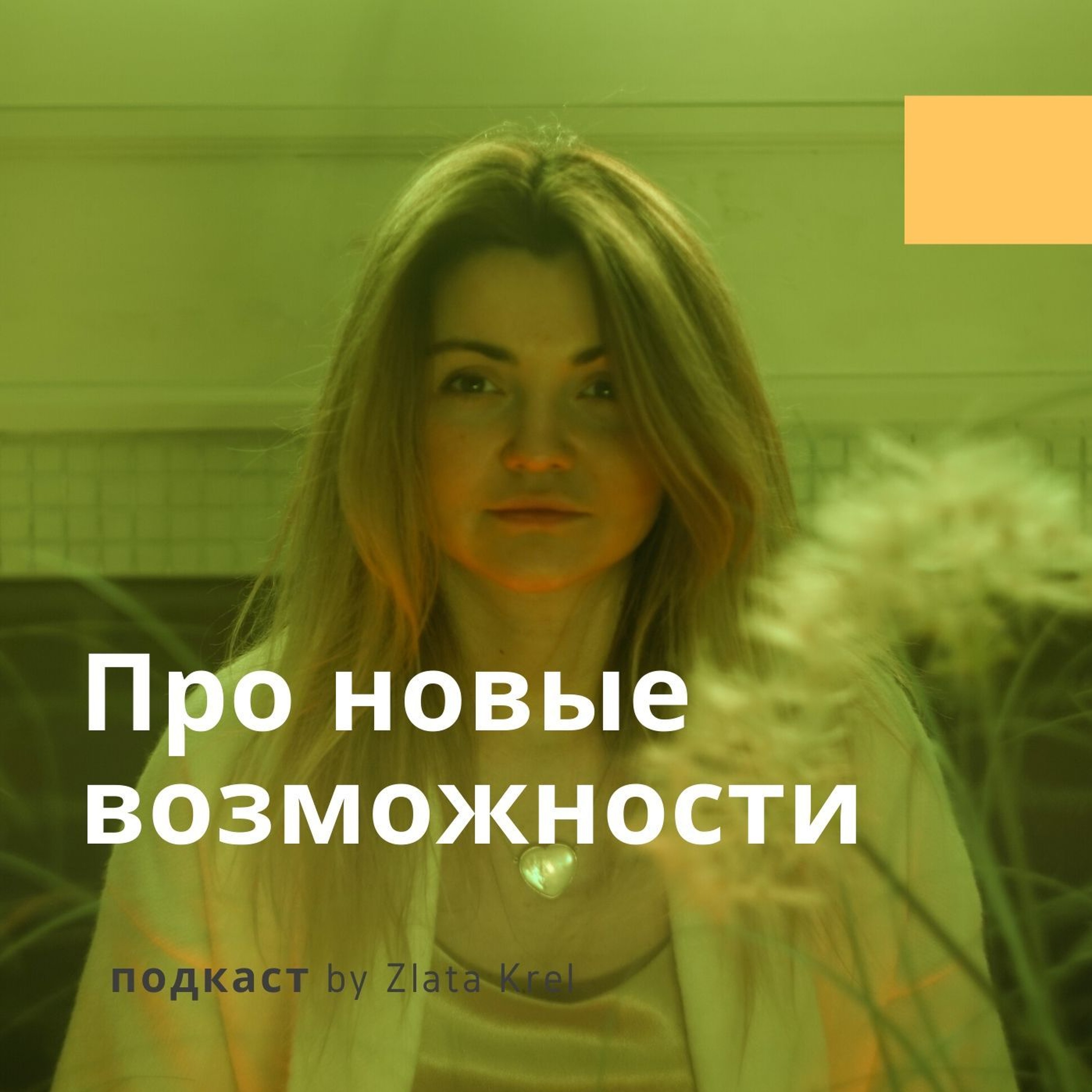 11. Новые Возможности и Коронавирус cover art