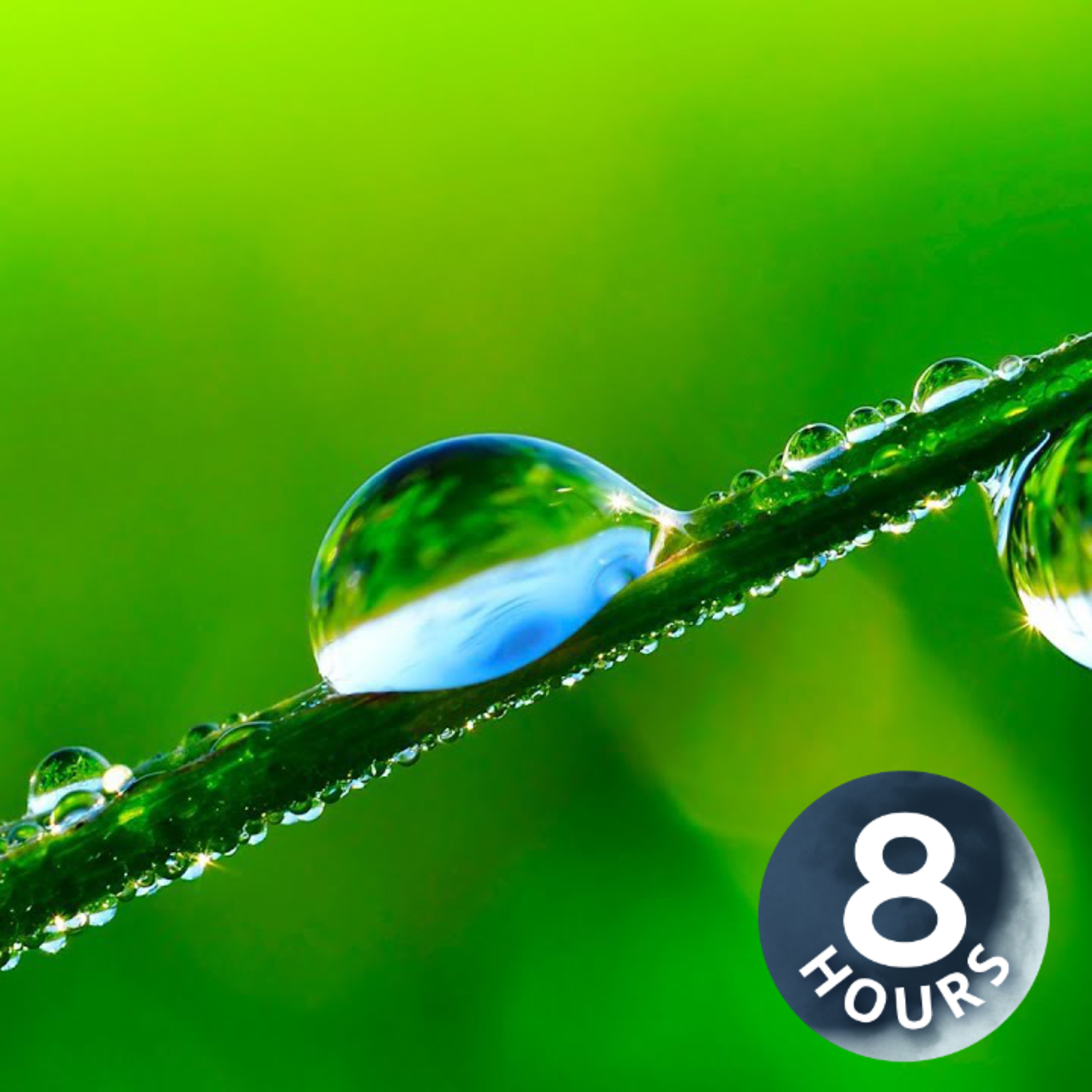 Bruit de pluie pour dormir | Bruit blanc d’averse (8 heures)