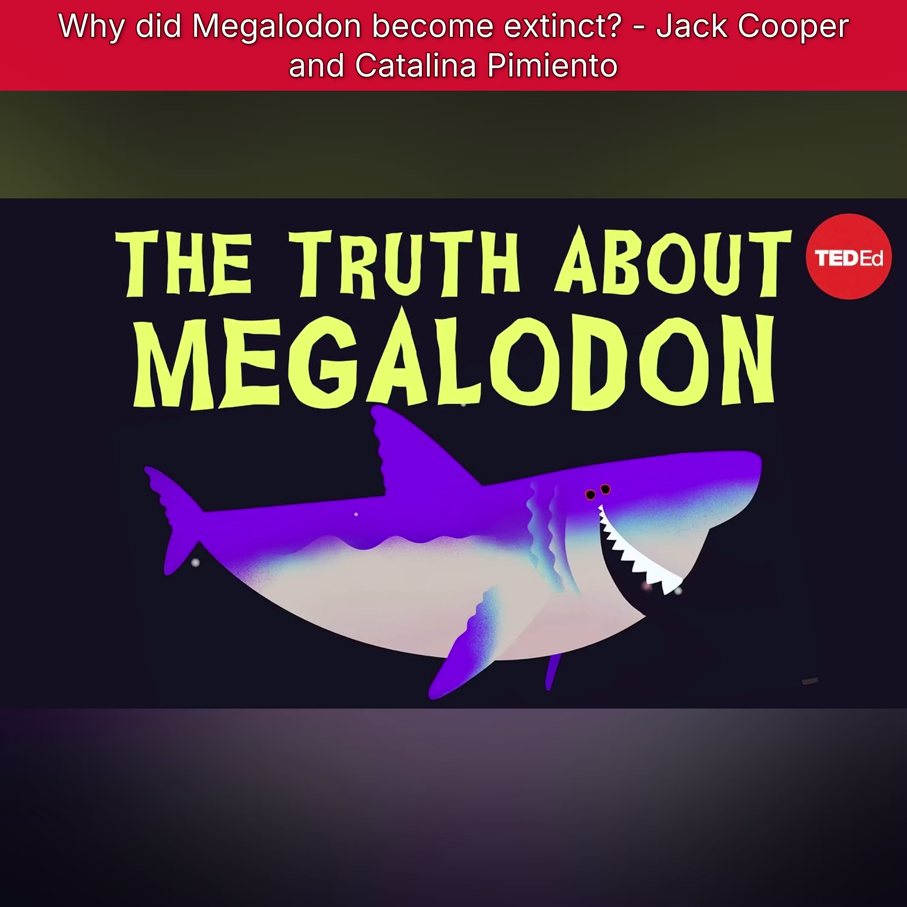 Why did Megalodon become extinct? - Jack Cooper and Catalina Pimiento cover art