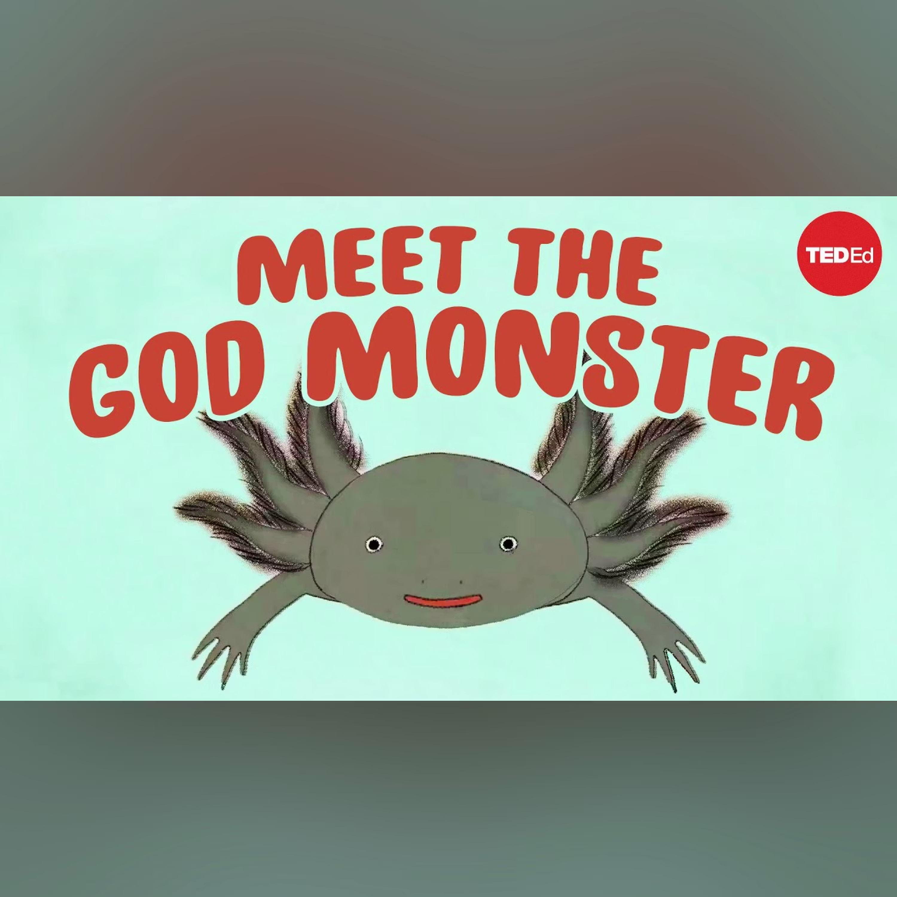 Axolotls: The salamanders that snack on each other (but don't die) - Luis Zambrano cover art