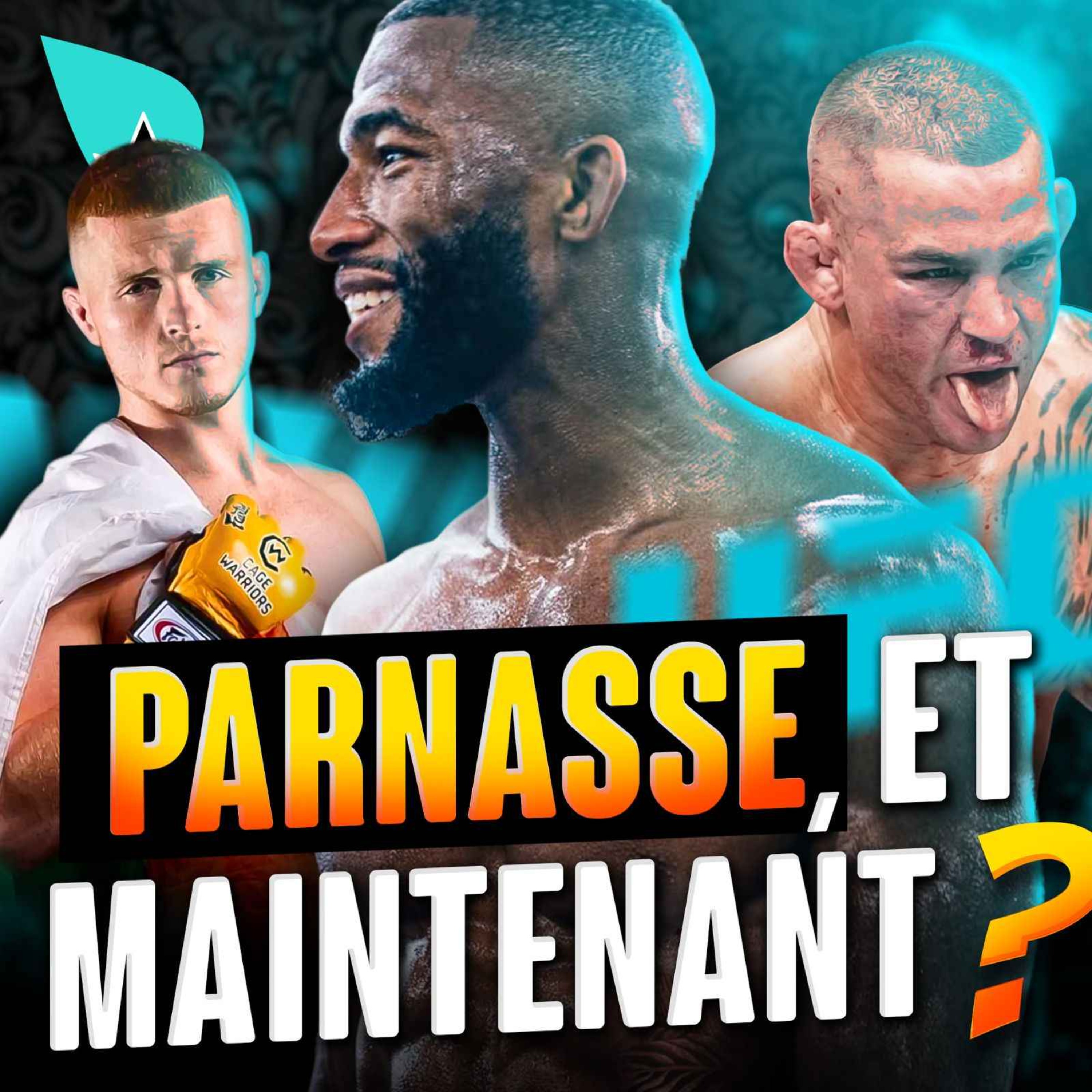 Salahdine Parnasse : que faire ? cover art