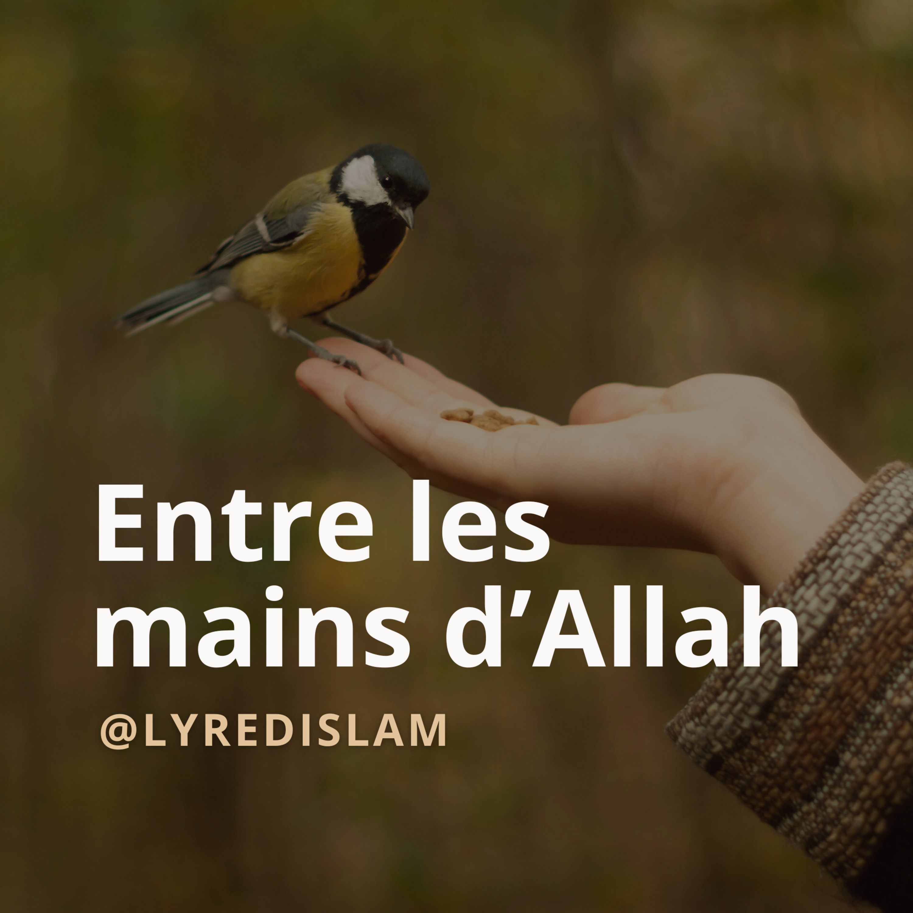 Entre les mains d'Allah cover art
