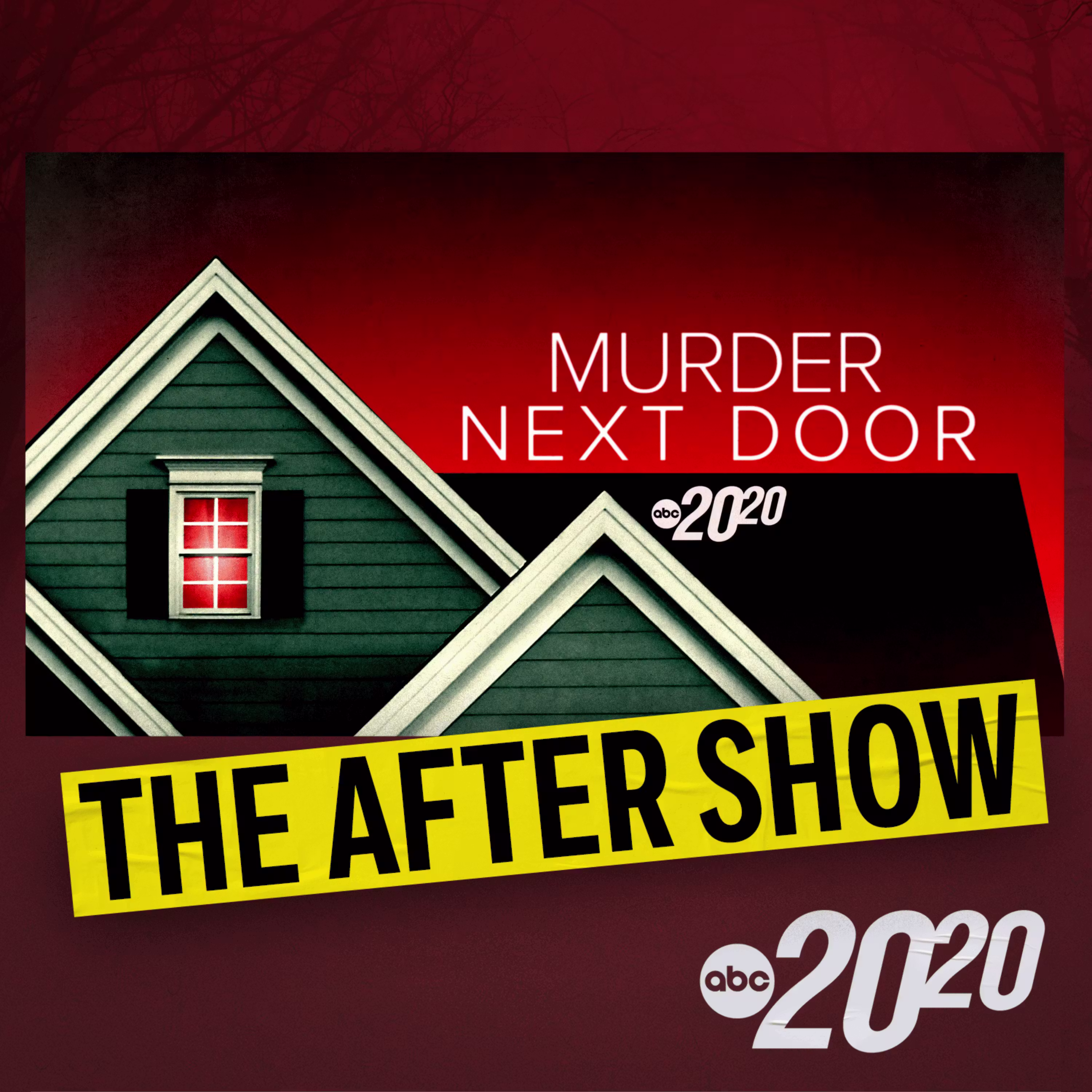 The After Show: Murder Next Door cover art