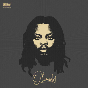 Hybrid cover art
