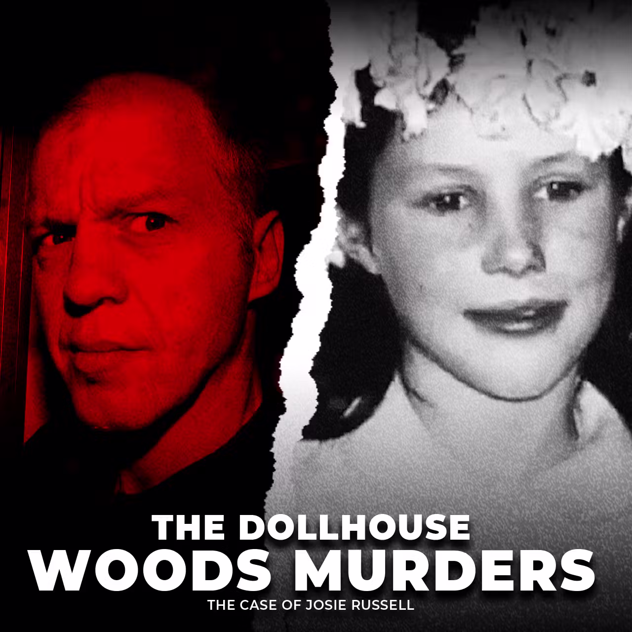 The Dollhouse Woods Murders | The Case of Josie Russell | UNSEEN cover art