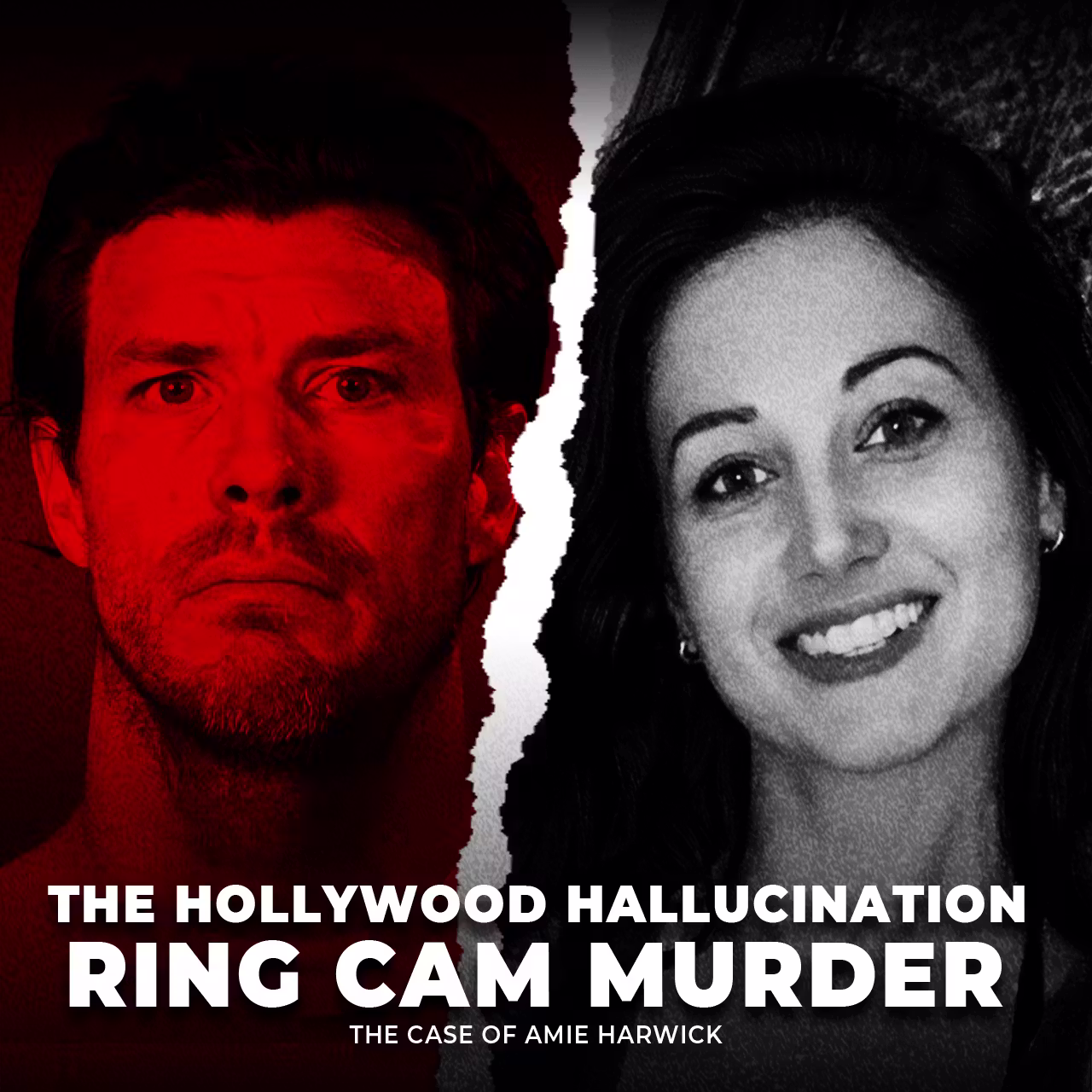 The Hollywood Hallucination Ring Cam Murder | The Case of Amie Harwick | UNSEEN cover art