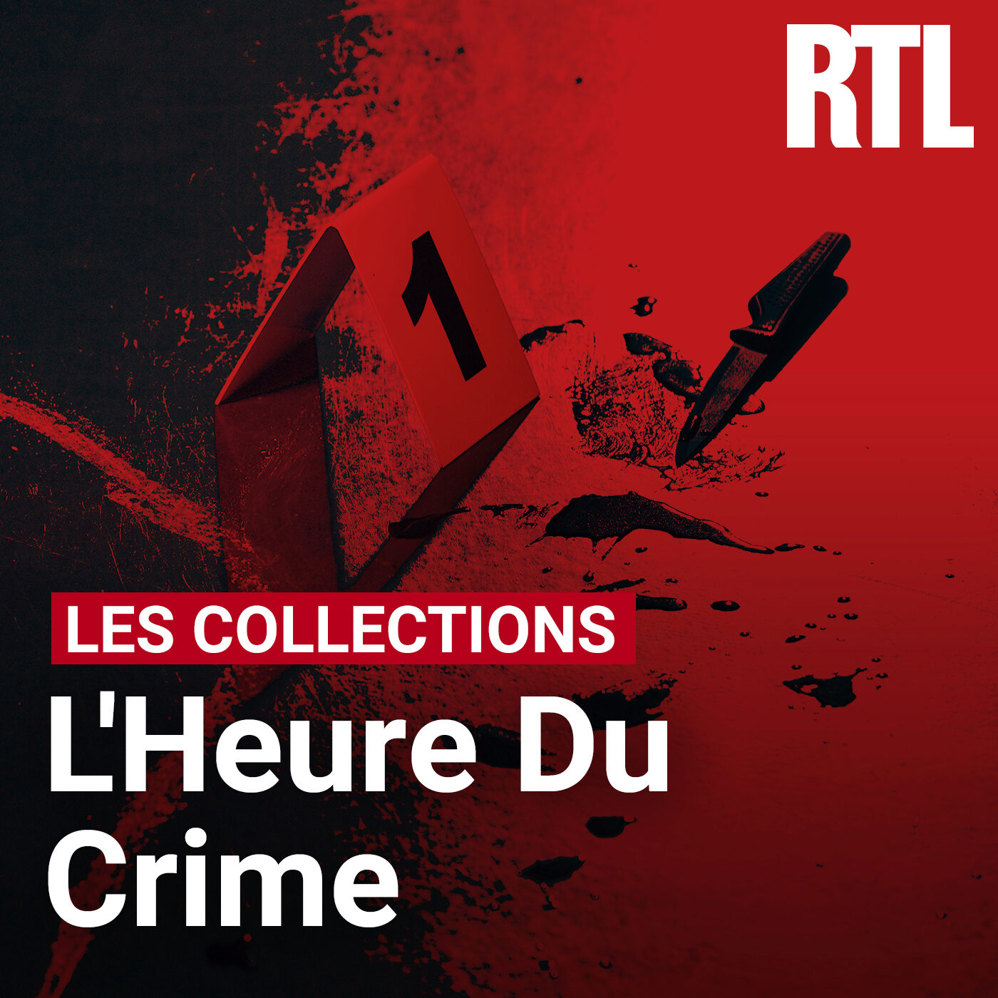 Nadine Dantier : la lettre dans le cercueil cover art