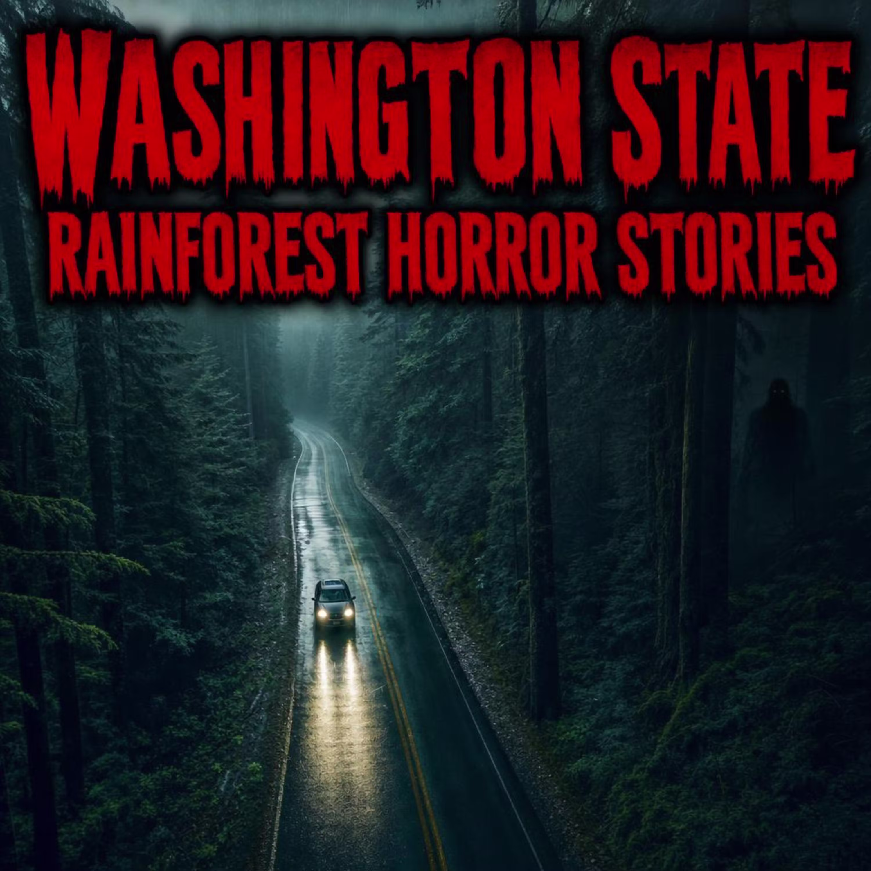 7 Most Disturbing TRUE Washington State Rain Forest Horror Stories That Will Haunt You All Night cover art