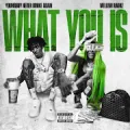 What You Is