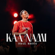 Kaa Nami cover art