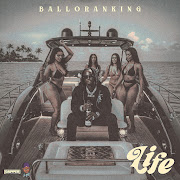 Life cover art