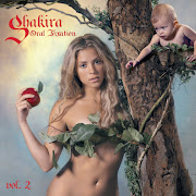 Hips Don't Lie cover art