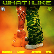 What I Like cover art