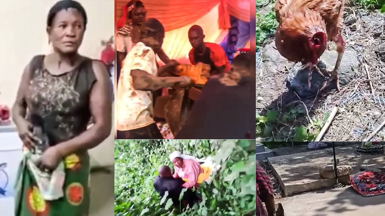 #Cock refused to die after it's head was cut off#Porn in court#Prophetess have sex in the bush# cover art
