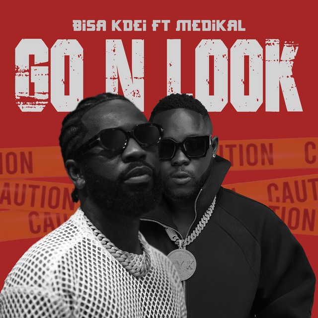 Go n Look cover art