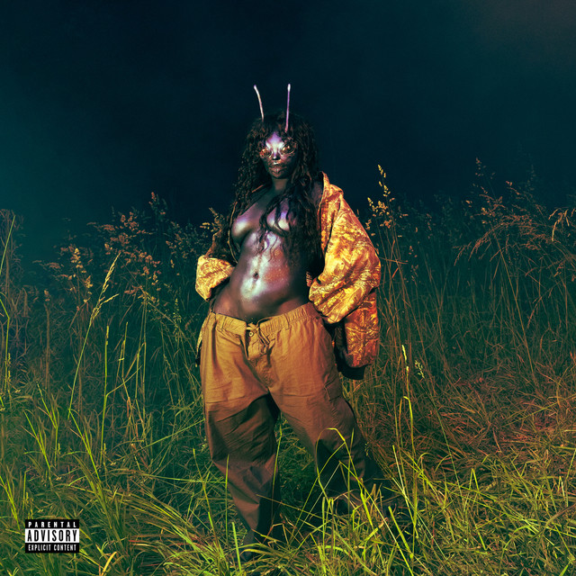 Conceited cover art