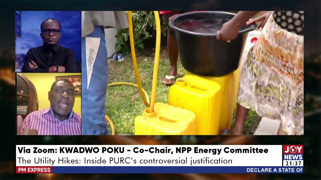 There is no stability in this economy - Kwadwo Poku, Co-Chair, NPP Energy Committee. cover art